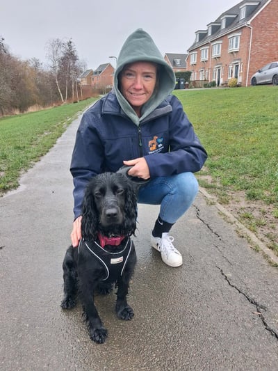 Laura from Trusted Steps Pet Service walking a Cocker Spaniel in Corby